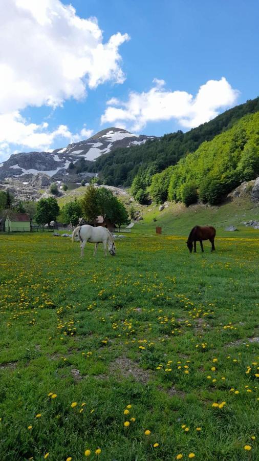 Katun Mokra Accommodation & Horseback Riding Podgorica Exteriér fotografie